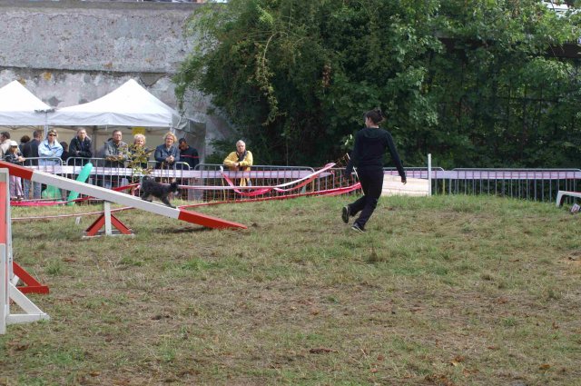 foire-haricots 2011-09-17et18